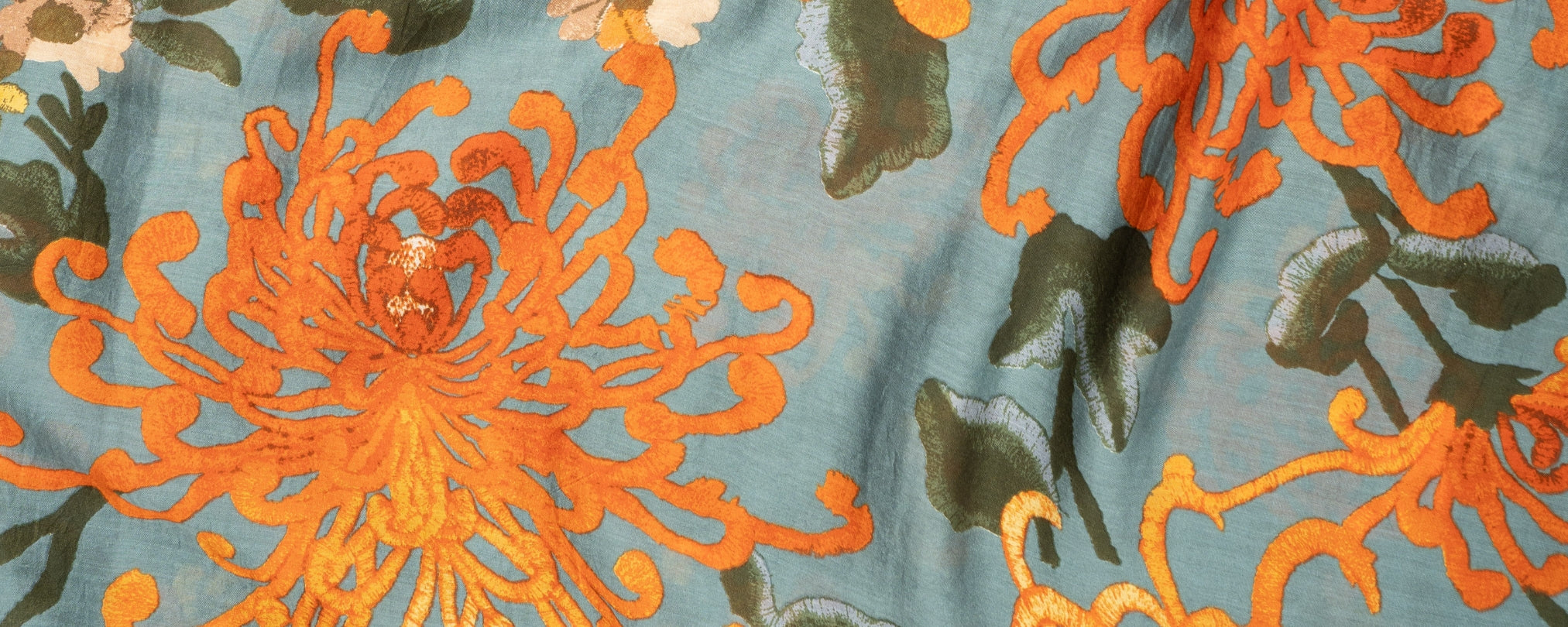 Chrysanthemum