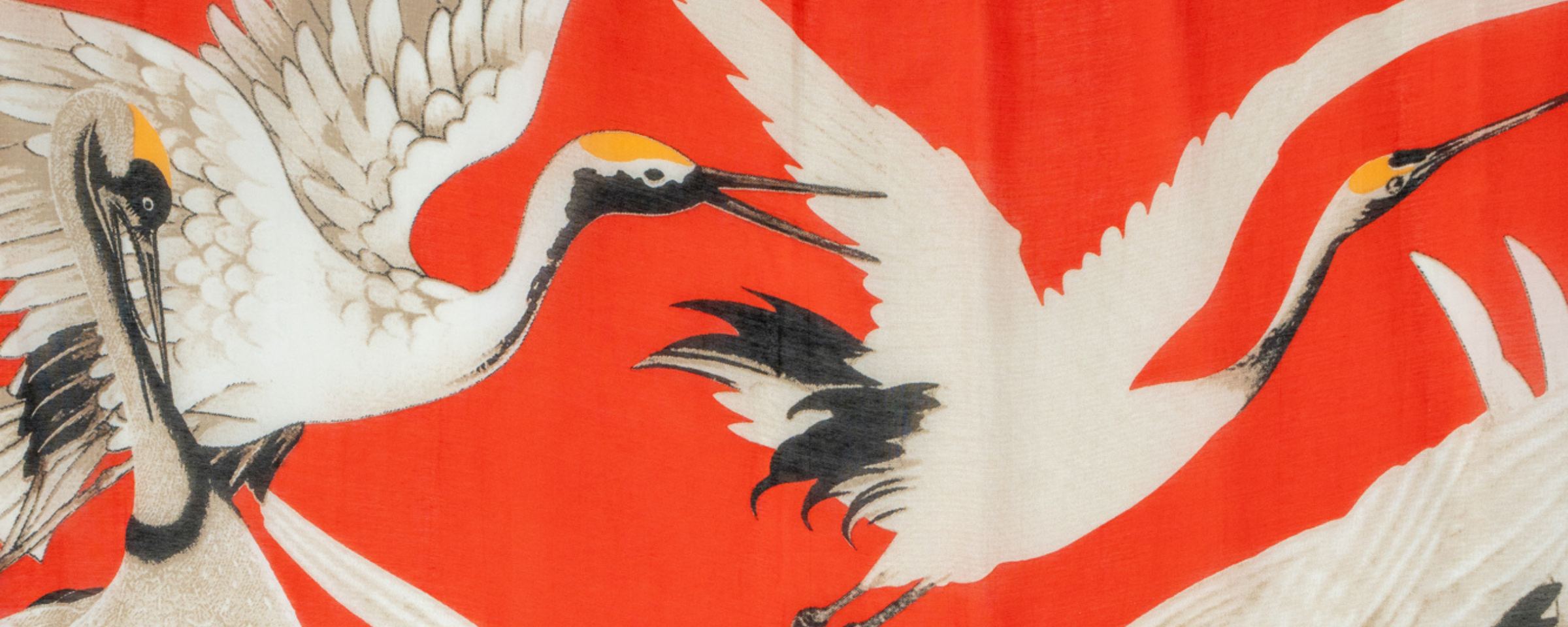Stork