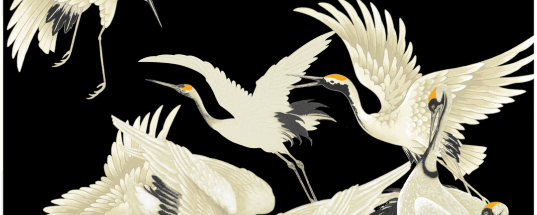 Stork Black