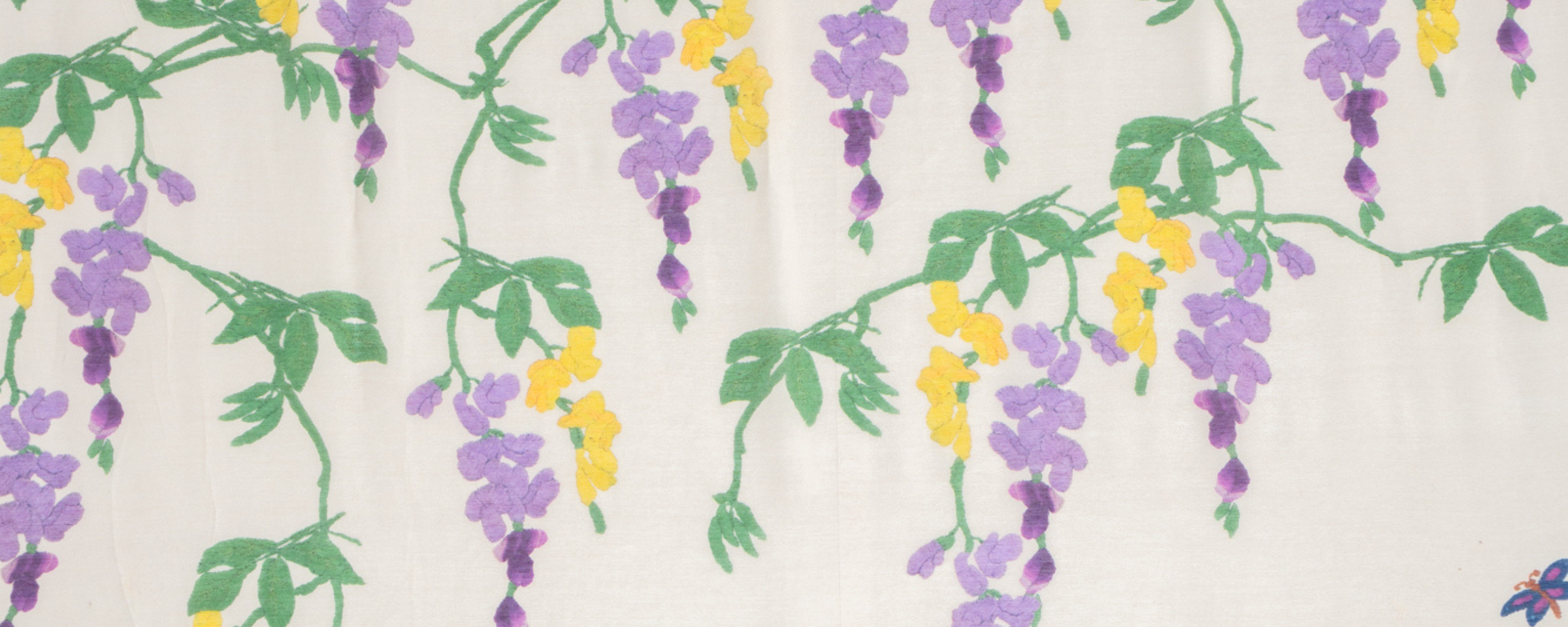 Wisteria